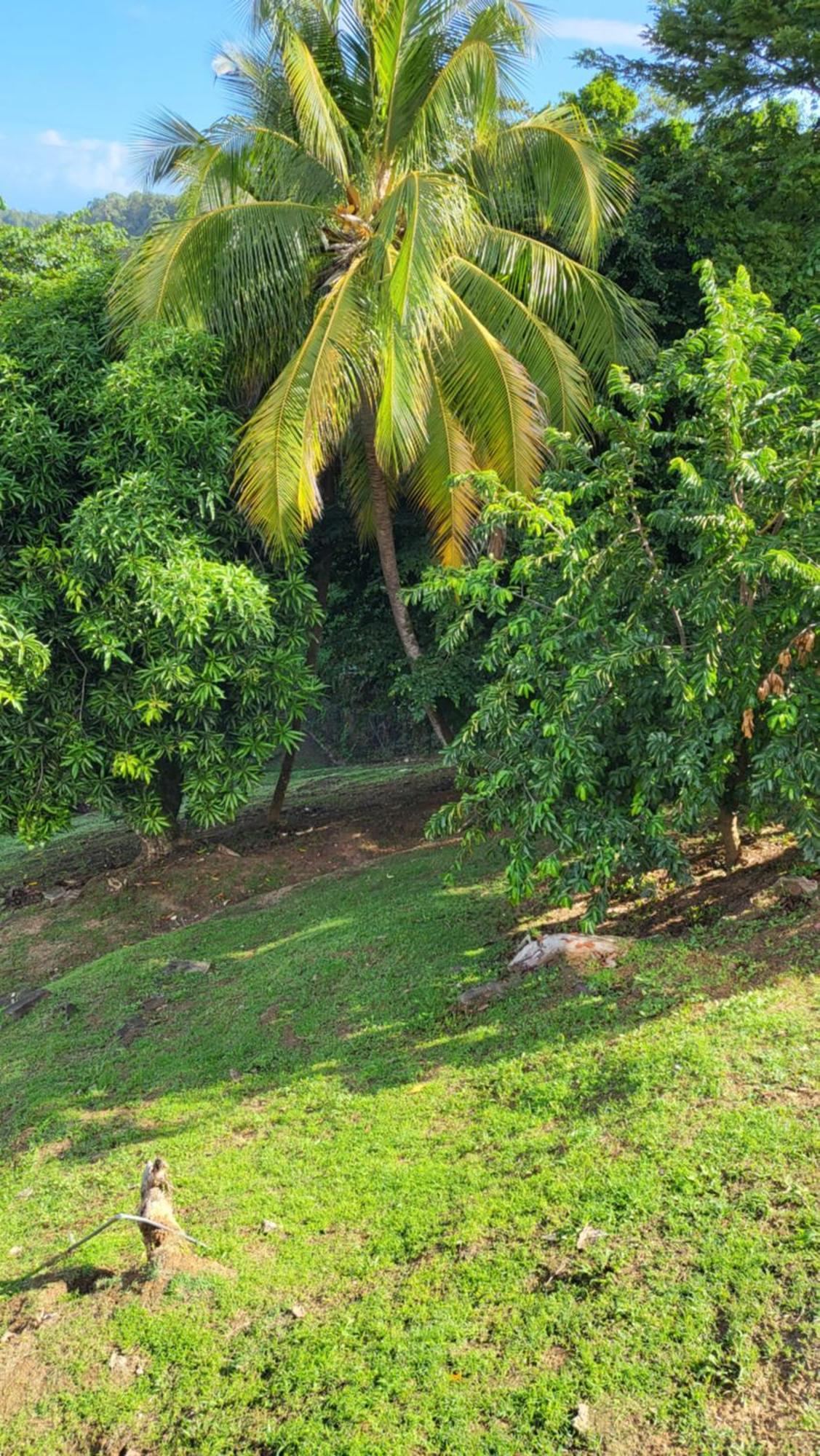 Le Caillou Villa La Trinité Exterior foto